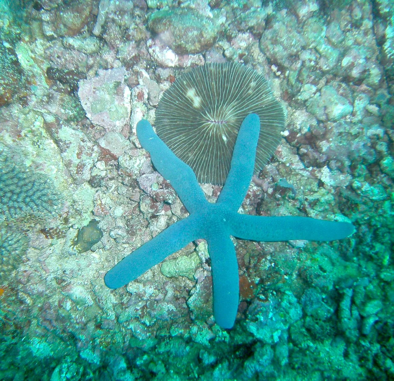 PICT0013.jpg