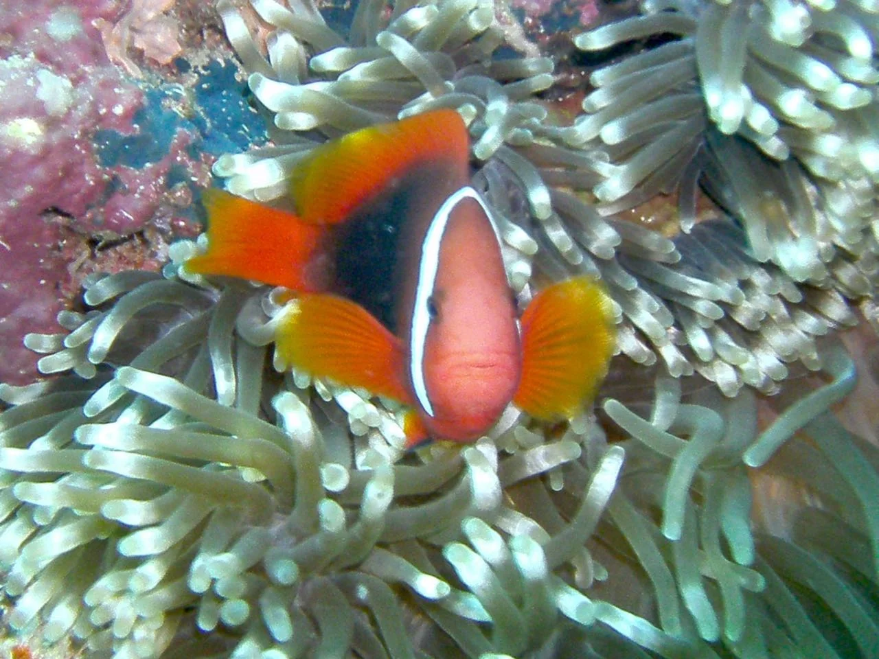 PICT0103.jpg