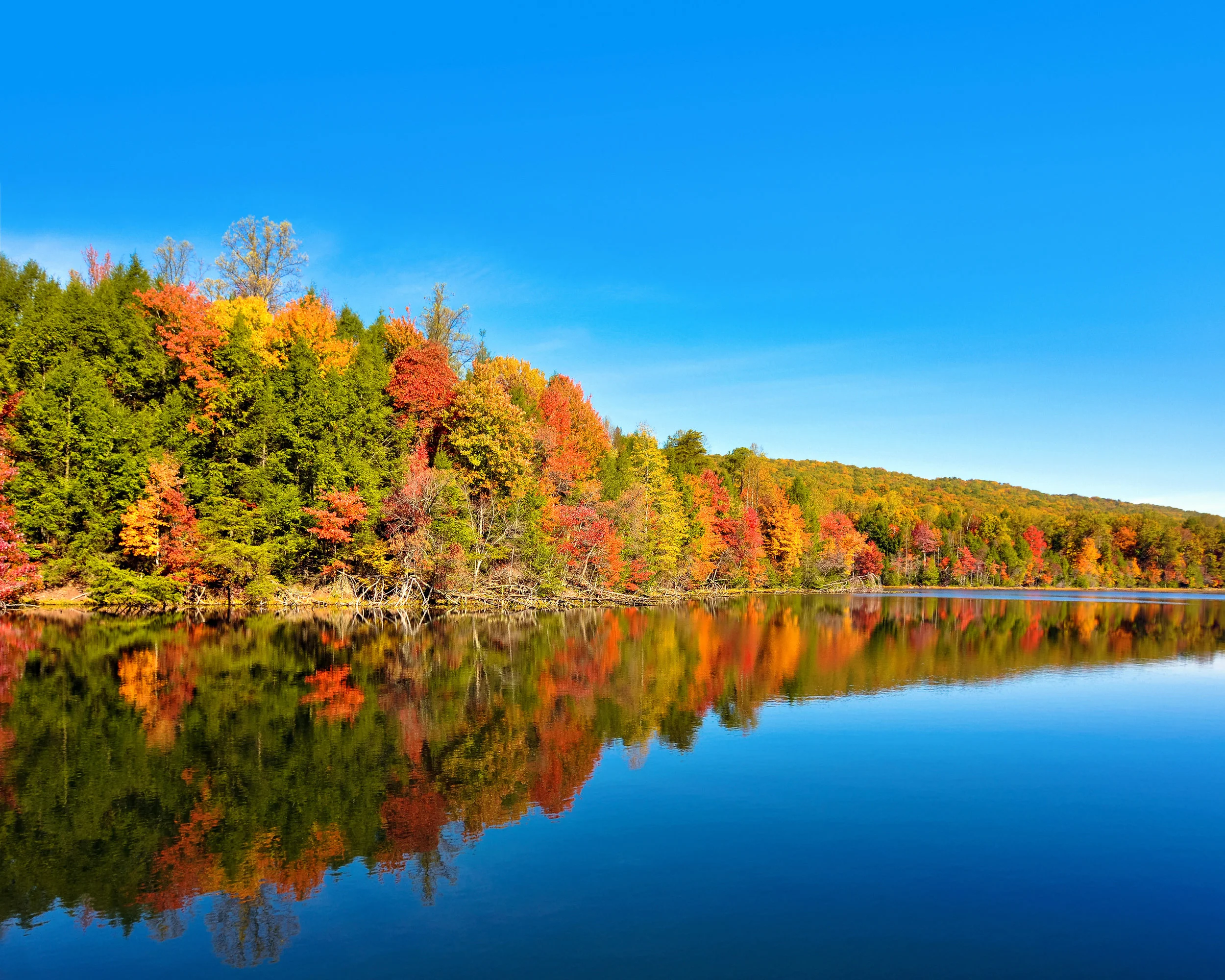 Bay's Mountain Lake - Kingsport.jpeg