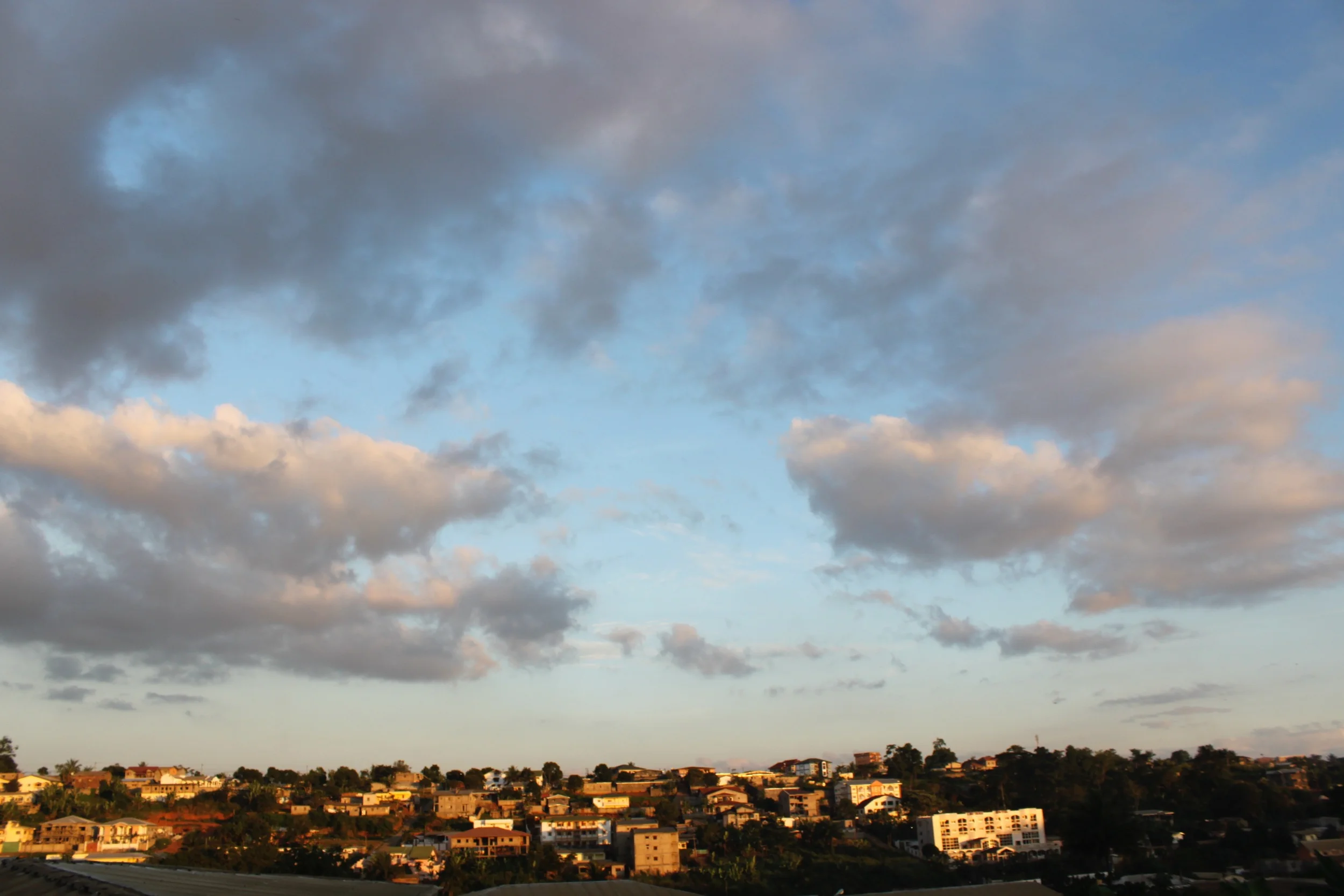 Can I have some zocalo?