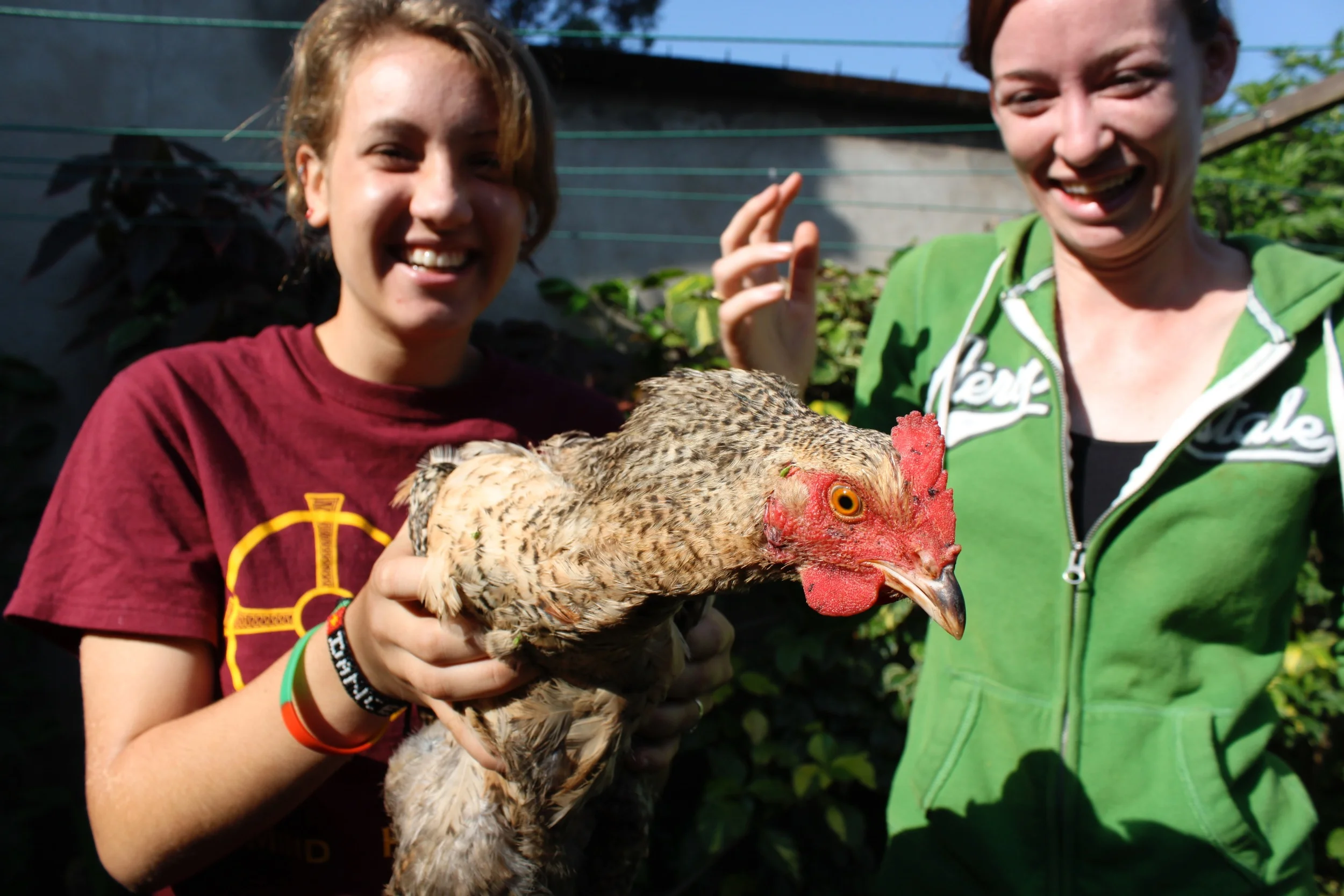 Celebrating a year of adventure