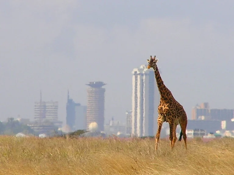 nairobi.jpg