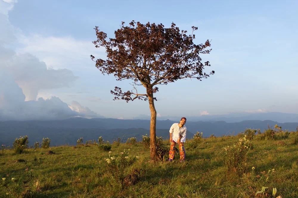 Alex+Ndop+tree.jpg