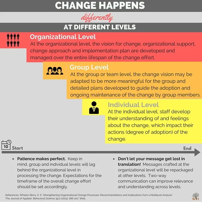 Levels of the Change Process