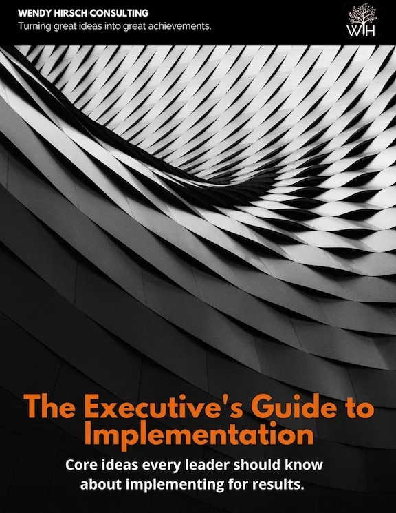 EXECUTIVE'S GUIDE.jpg