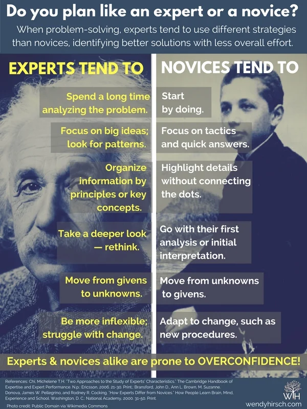 Planning: Expert vs Novice Strategies