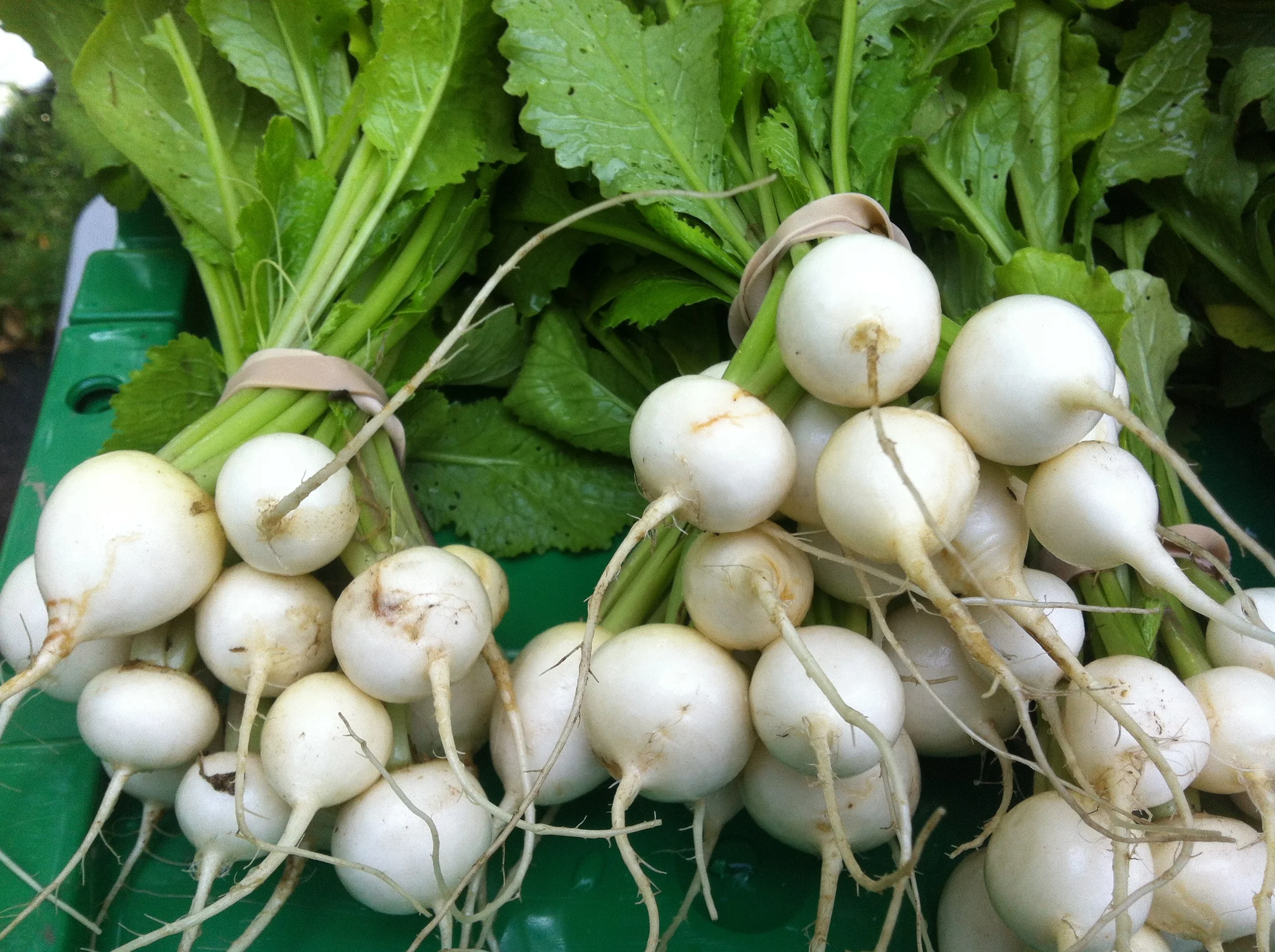 Giving Thanks with Braised Thyme and Turnips
