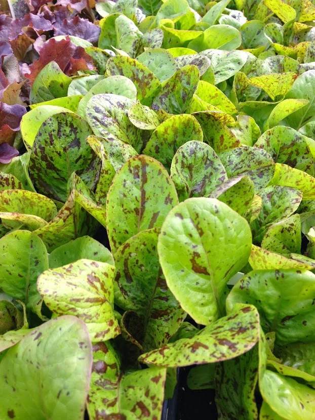 April 26th Photo Gallery