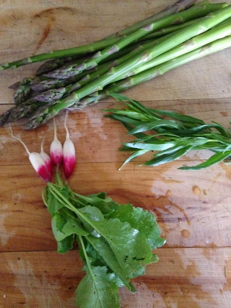 Cold Season Gardening