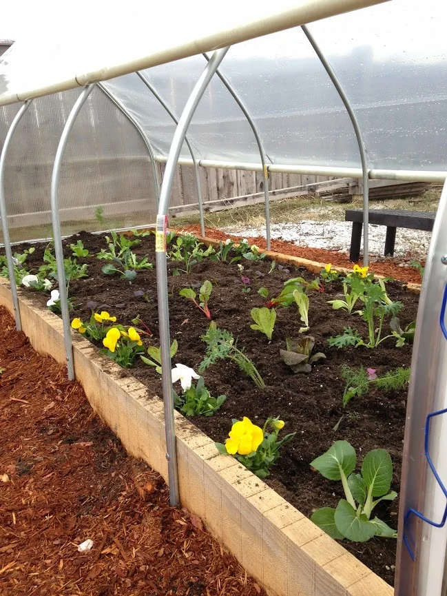 Mini Raised Bed Greenhouses for Sale