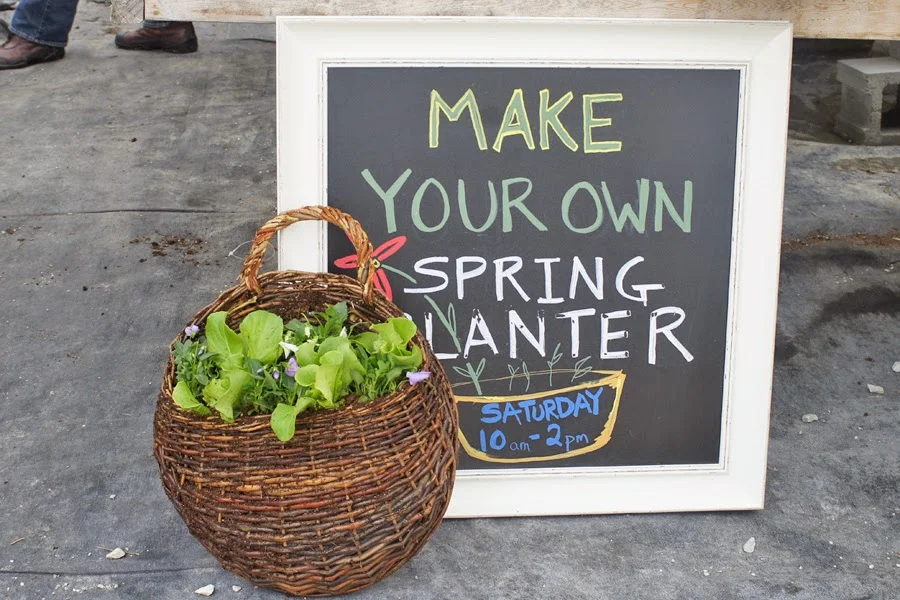 Making Spring Time Planters