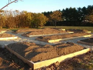 Planning Now for Great Eating all Year Long