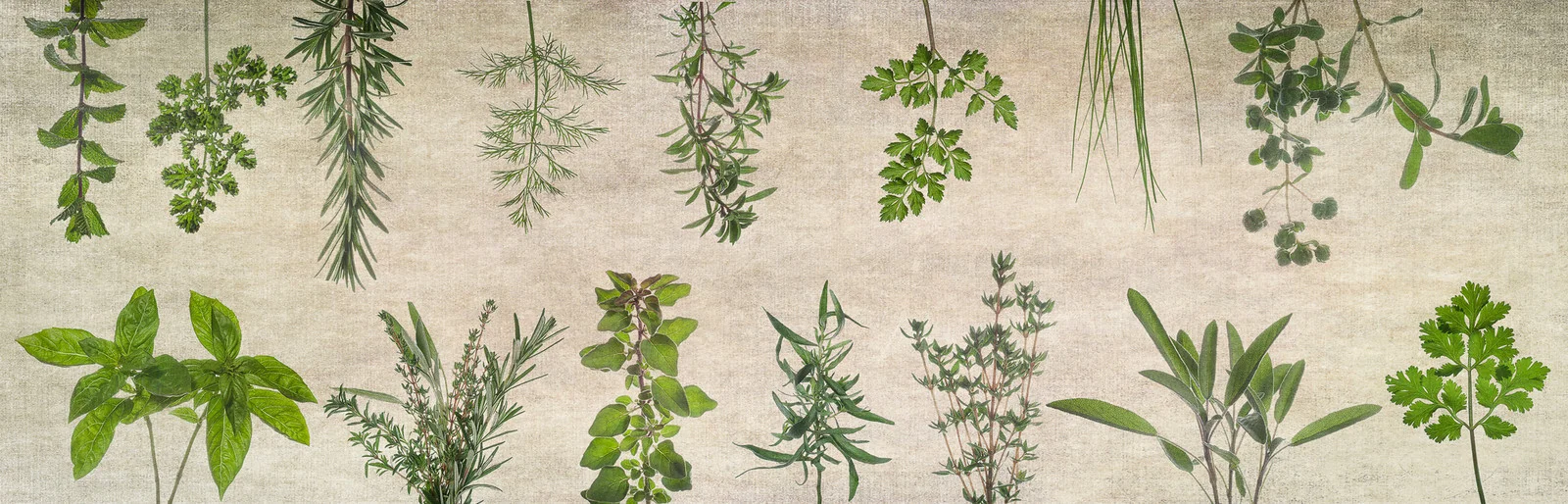 Composite herb photo linen.jpg
