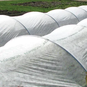 We can help you get set up with row cover just like this. Photo from Johnny’s Selected Seeds.