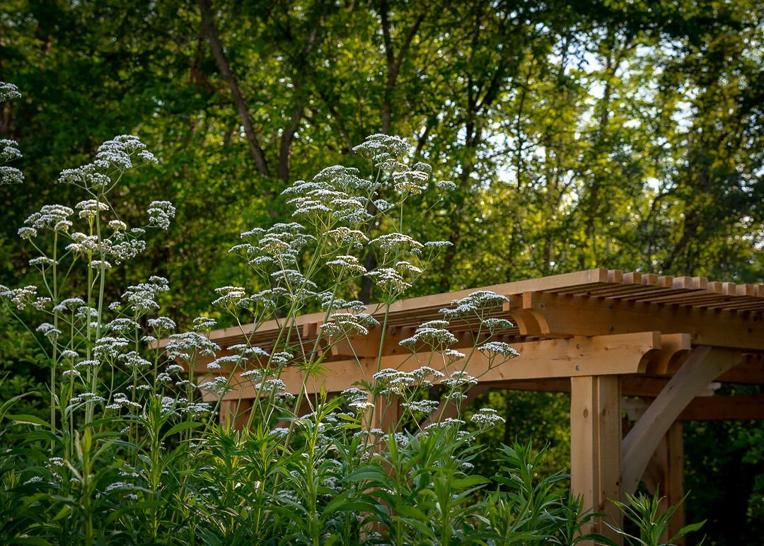 Beginner's Guide to  Planning the Medicinal Herb Garden