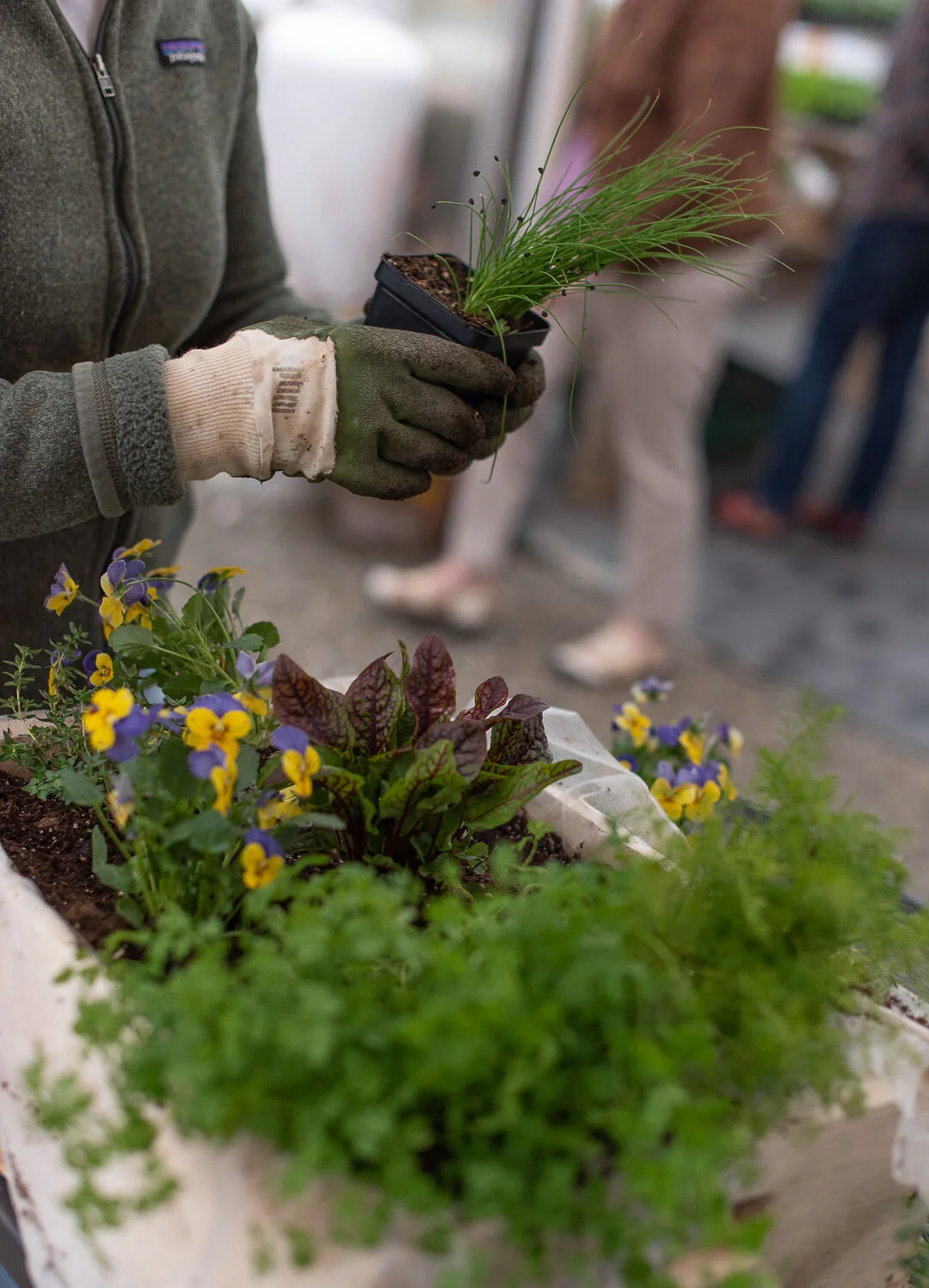 Make and Take Spring Planter for Indoors and Out