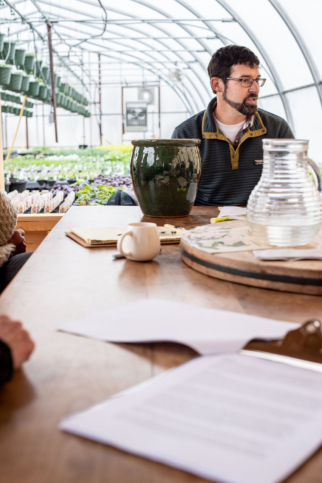 Pests and Diseases of the Vegetable Garden