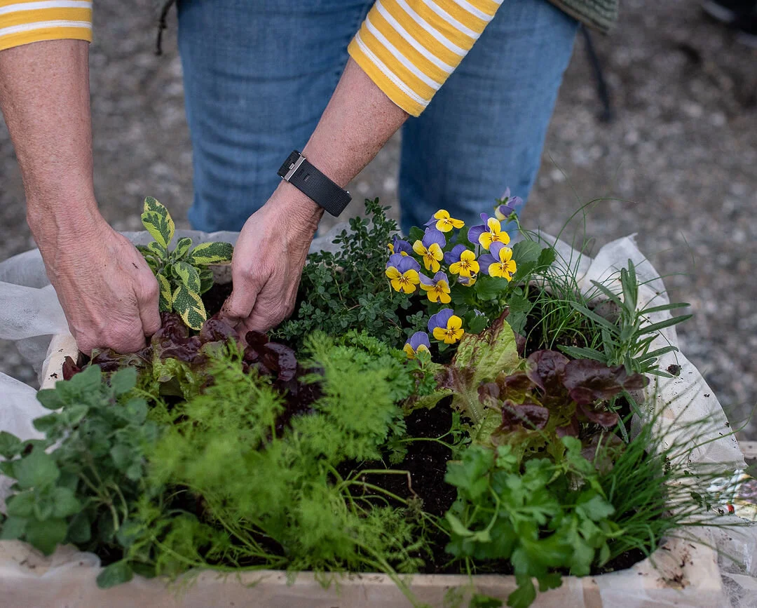 spring greens apple crate.jpg