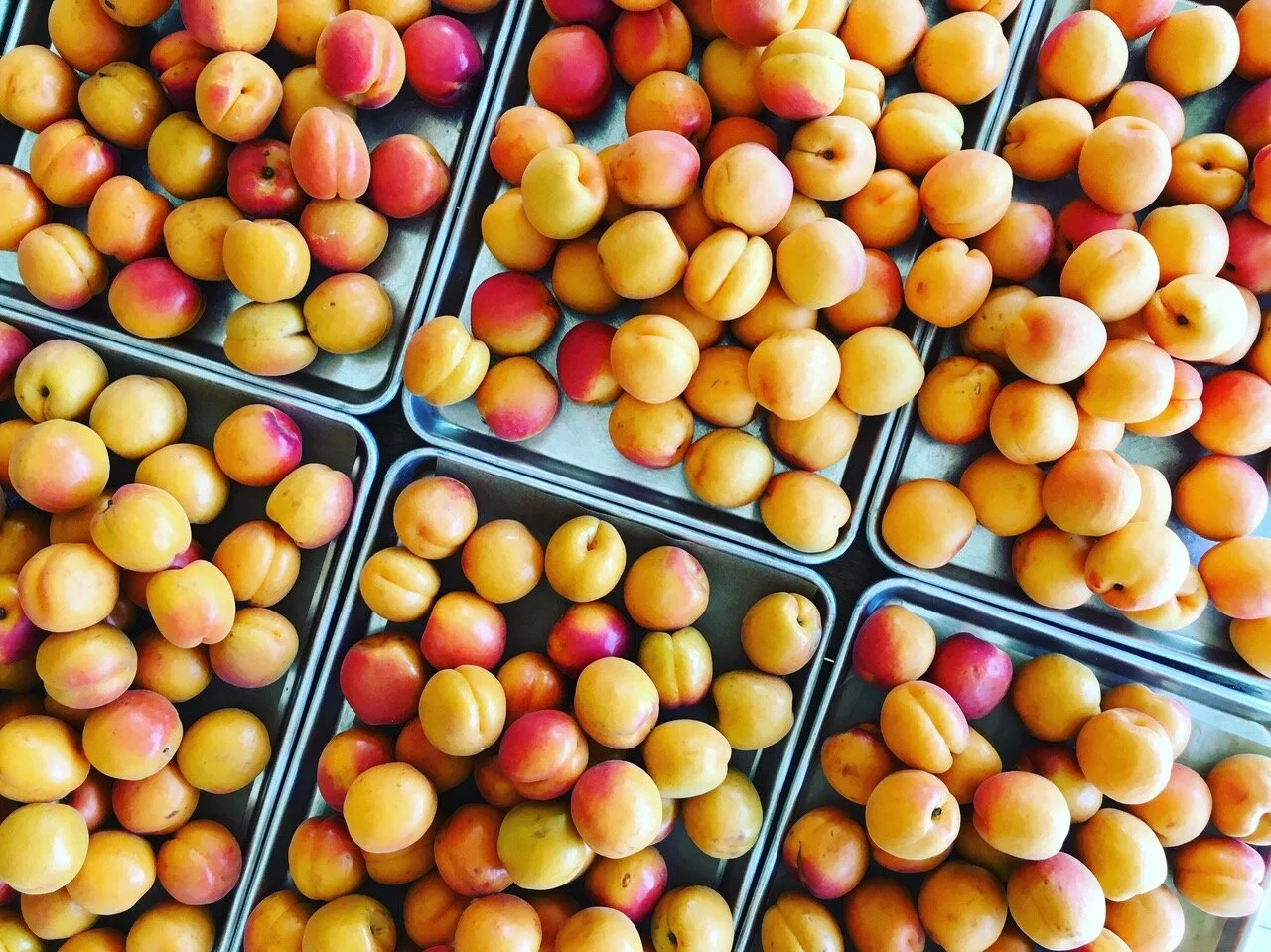 Stone Fruit Jams with Flowers and Scents from the Garden