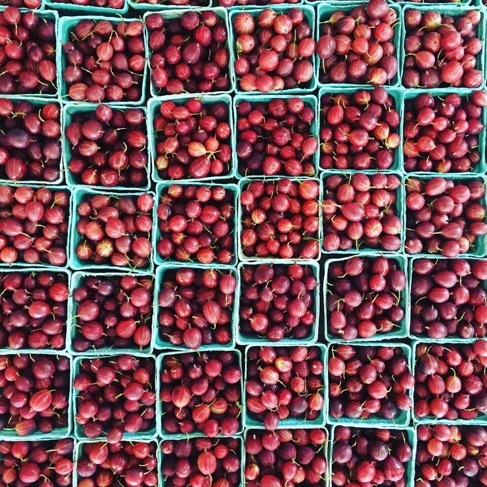 Berry Jams with Flowers and Scents from the Garden