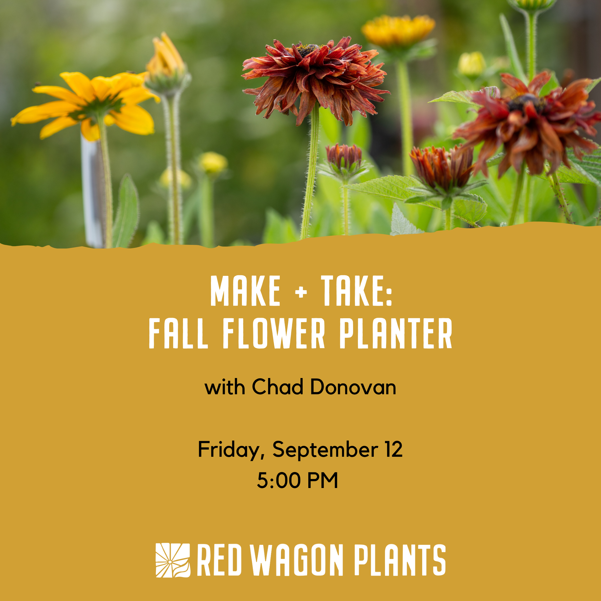 Make + Take: Fall Flower Planter