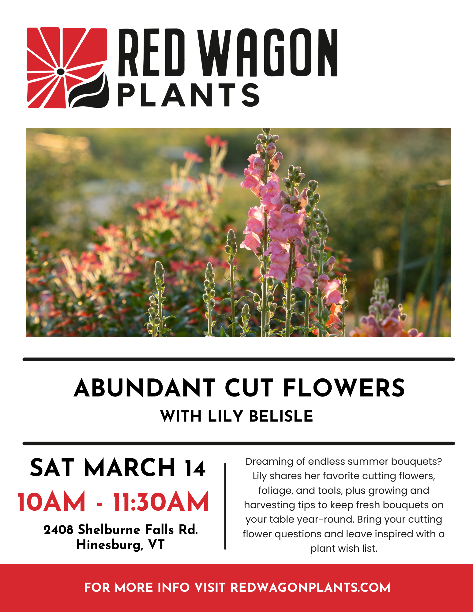 Abundant Cut Flowers with Lily Belisle