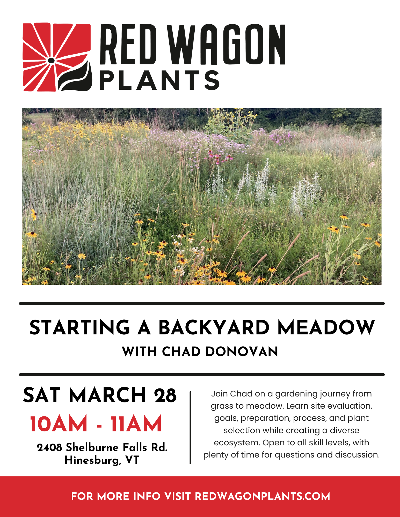 Starting a Backyard Meadow with Chad Donovan