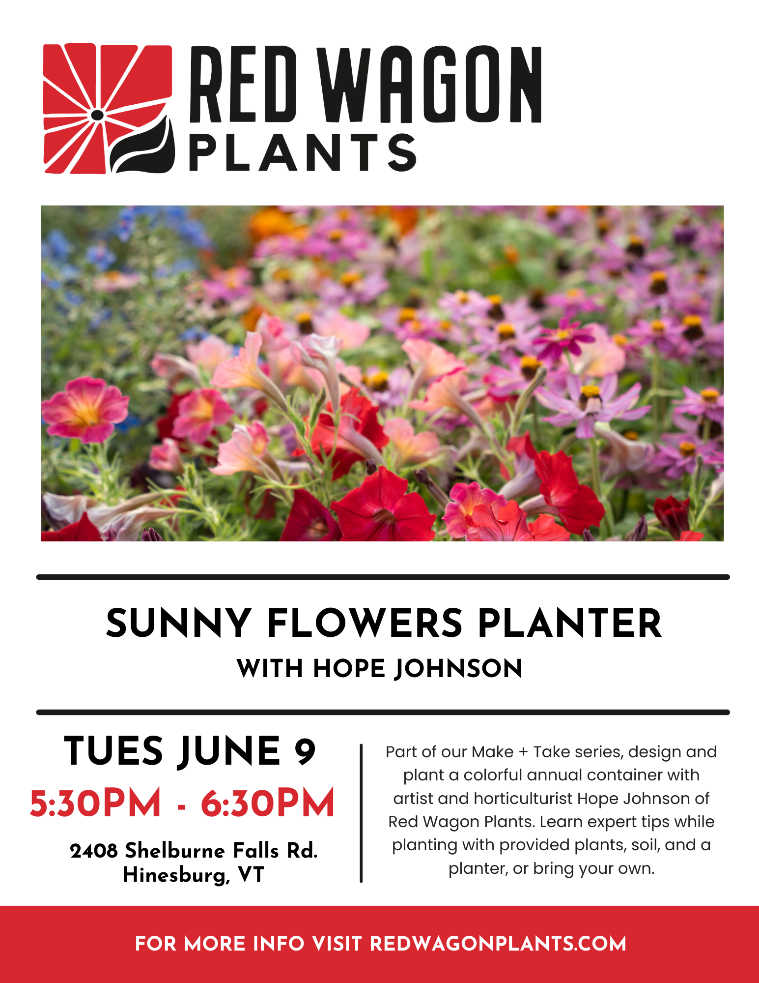 Make + Take: Sunny Flowers Planter with Hope Johnson