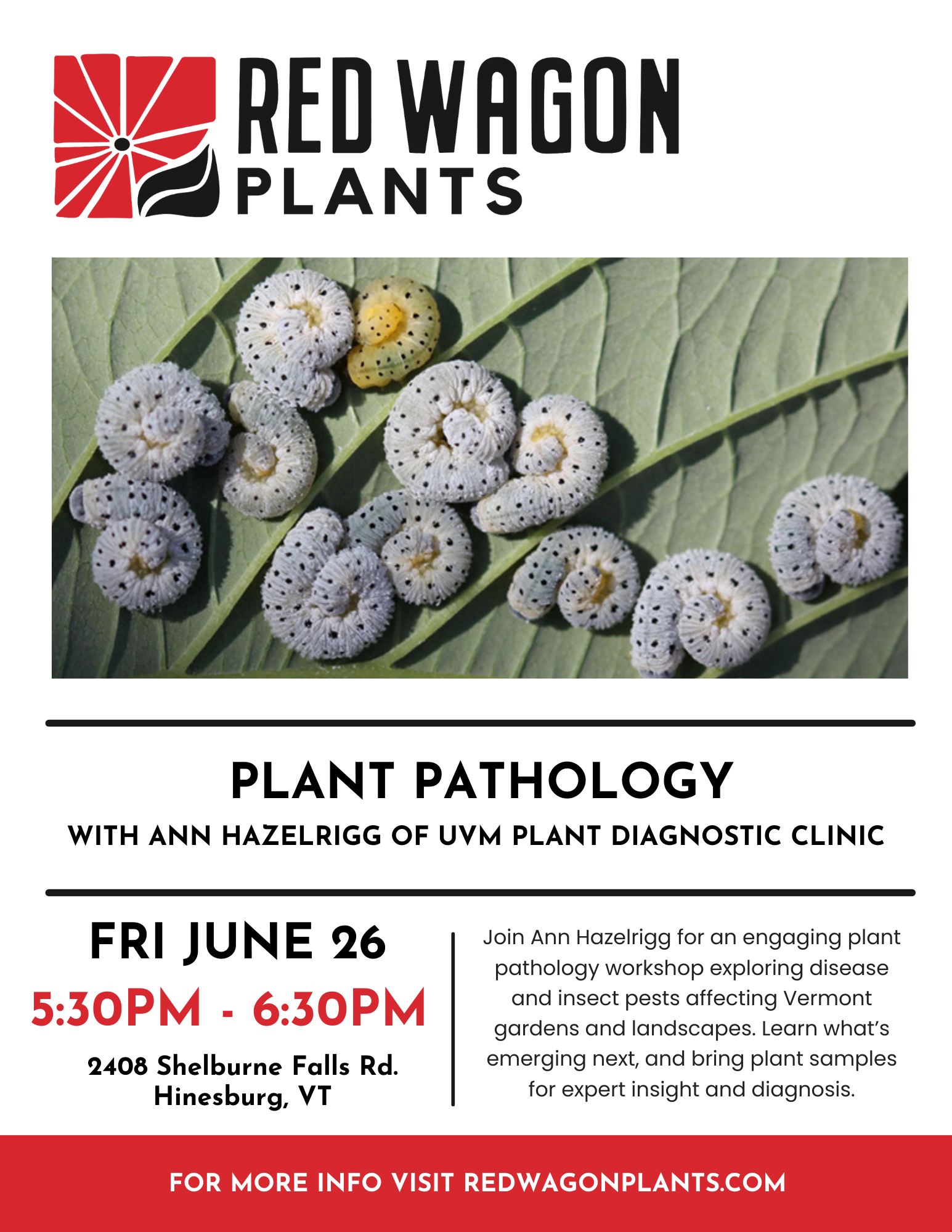 Plant Pathology with Ann Hazelrigg of UVM Plant Diagnostic Clinic