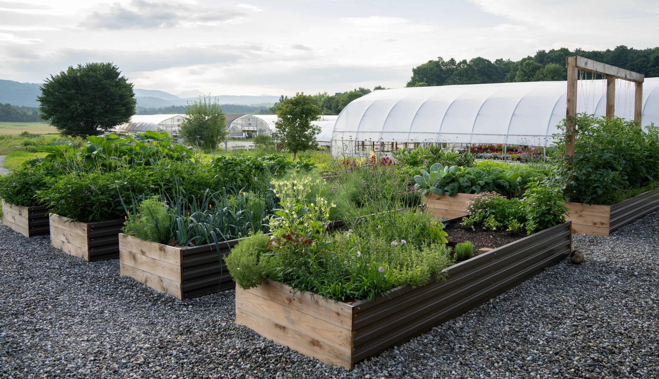 raised beds with greenhouse 4.jpg