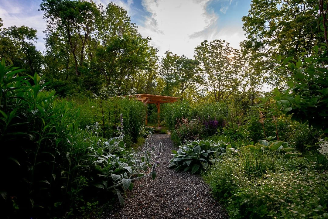 Julie'sGardenJune2019-7.jpg