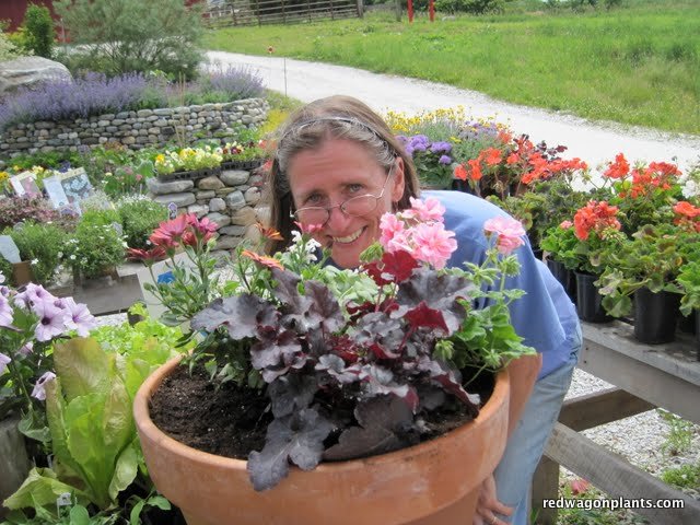 St Helens Pop Up Garden Waste Bags