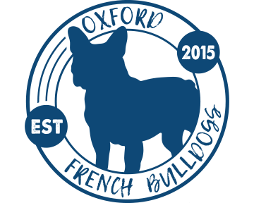 Oxford French Bulldogs - blueclock dark blue 5x4.png