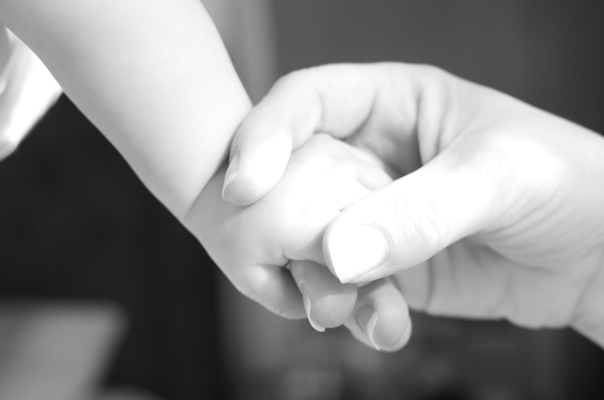 _DSC0855 - Version 2.jpg