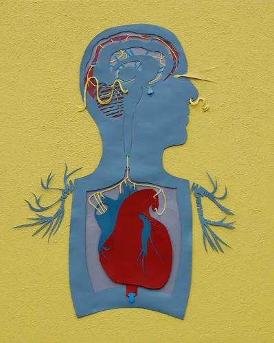 vestigialbronchialwings1.jpg