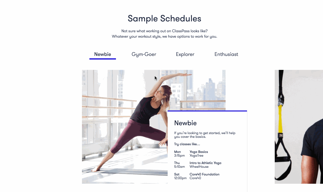 WebSell_sample.gif