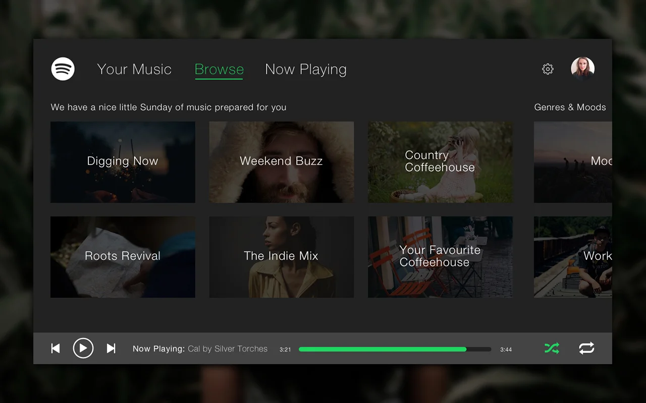 roku_spotify_browse.jpg