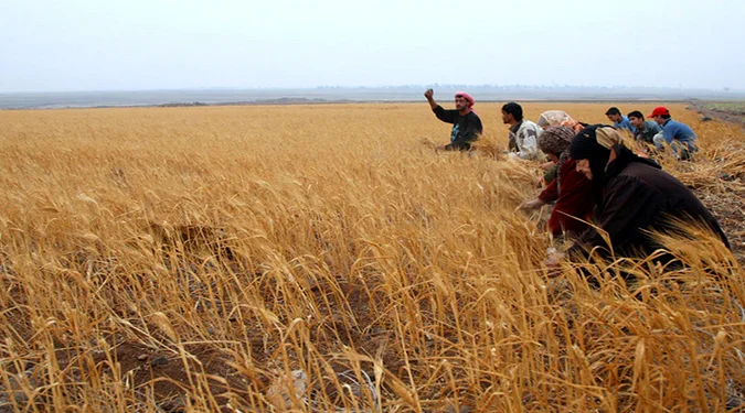 Irak, umazane igre za vodo in semena ter muslimanski sužnji Evrope
