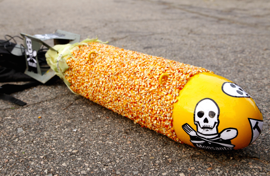 The hidden war for seeds and water