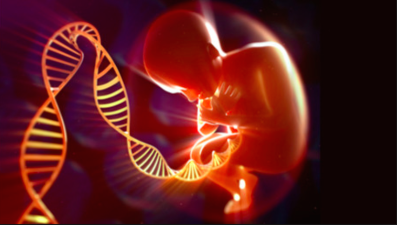 DNK novorojenčkov nezakonito v lasti UKC?