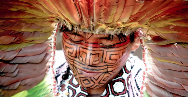 Ayahuasca: Obstaja bližnjica do svobode duha?