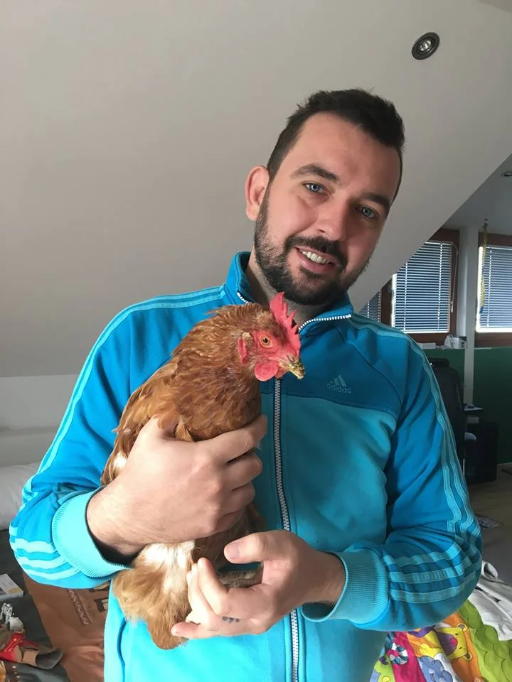 Nova dimenzija veterine - akupunktura za živali