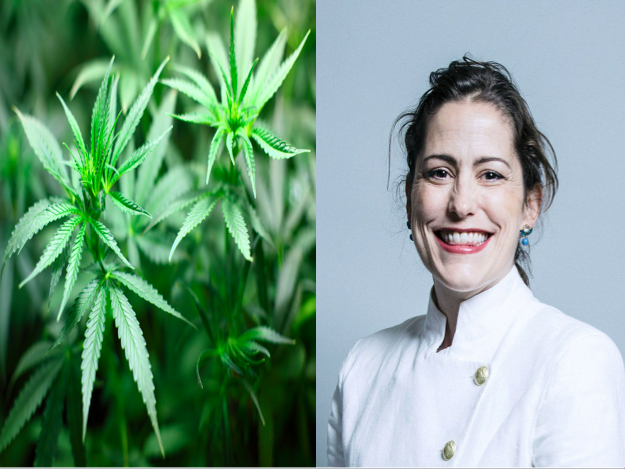 Parlamentarka proti legalizaciji, njen mož goji 45 hektarjev konoplje