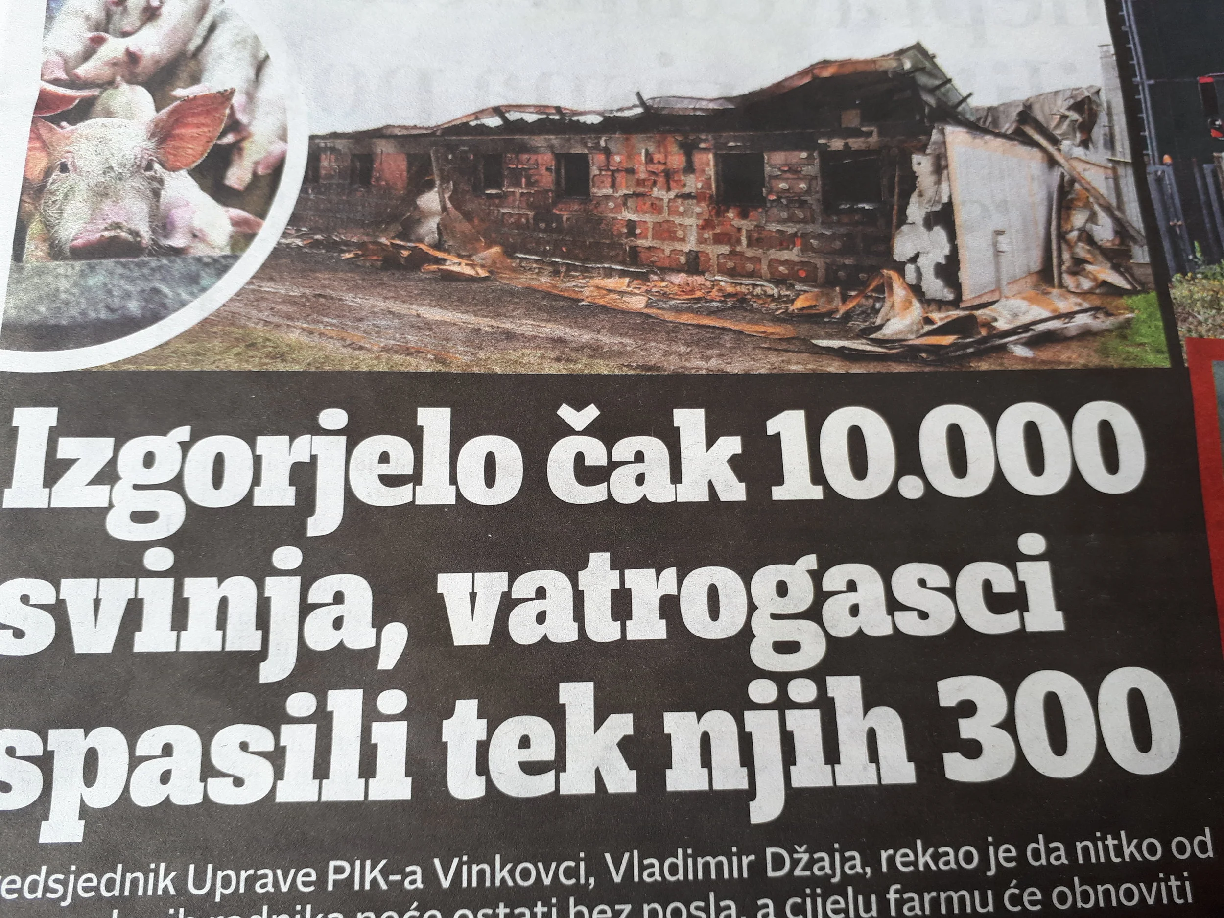 Grmada trupel in posel kot običajno