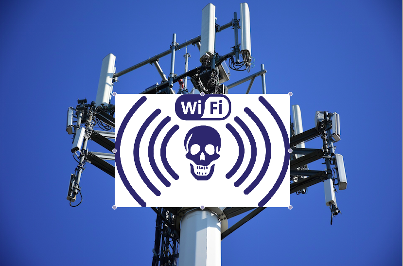 5G sevanje – napad na človeka in okolje