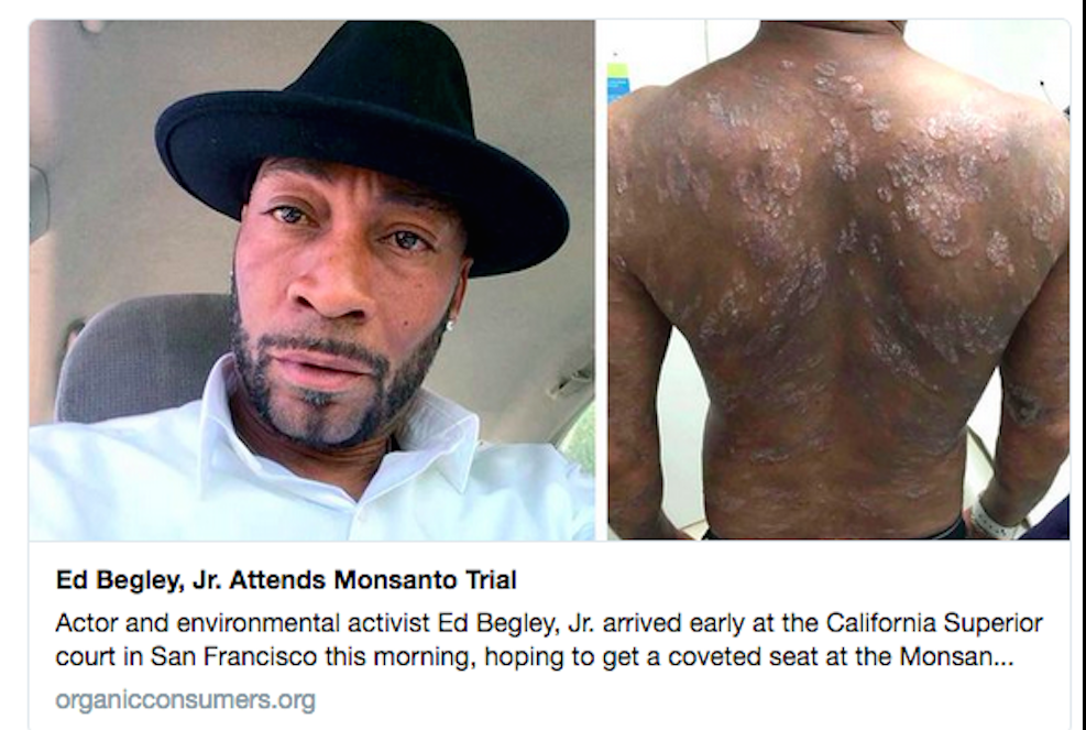 Zgodovinska tožba: vrtnar proti Monsantu