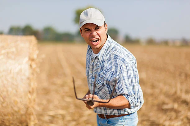 Slovenija talka živinorejcev?