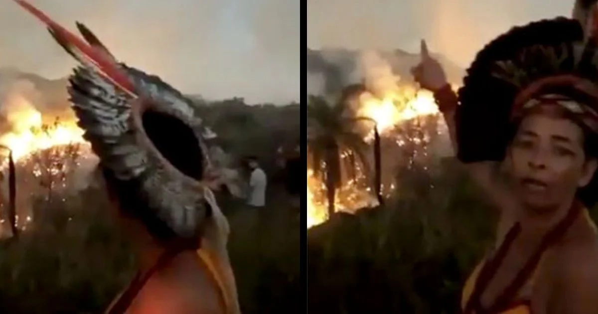 Amazonski požari in umetne solze Zahoda