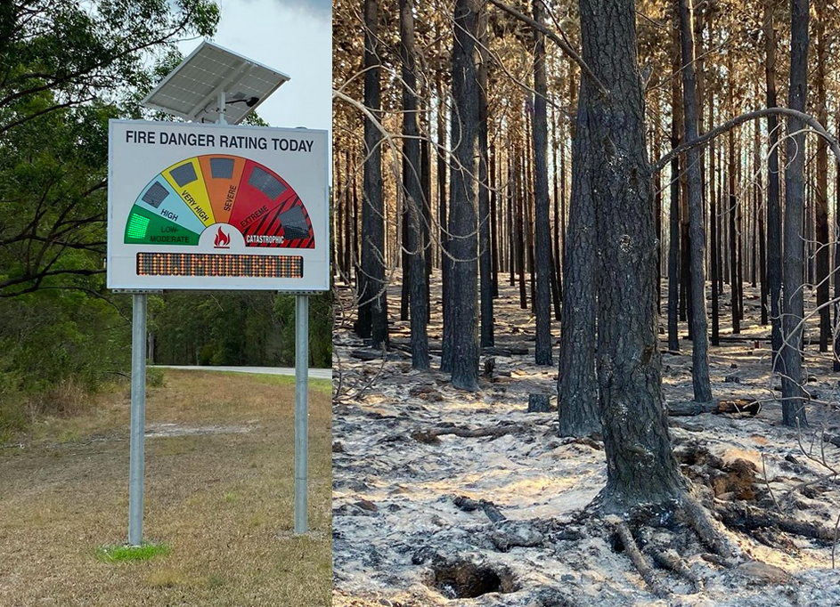 Avstralski požari ali kaj imajo skupnega koale, Greta in Notre-Dame?