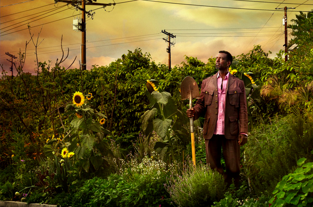 Zakaj sem nehal protestirati in začel vrtnariti?